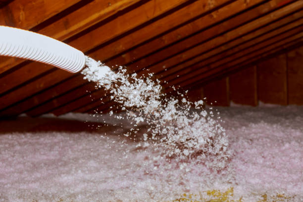 Best Commercial Insulation in View Park Windsor Hills, CA