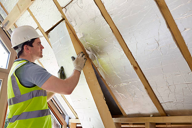 Best Cellulose Insulation in View Park Windsor Hills, CA